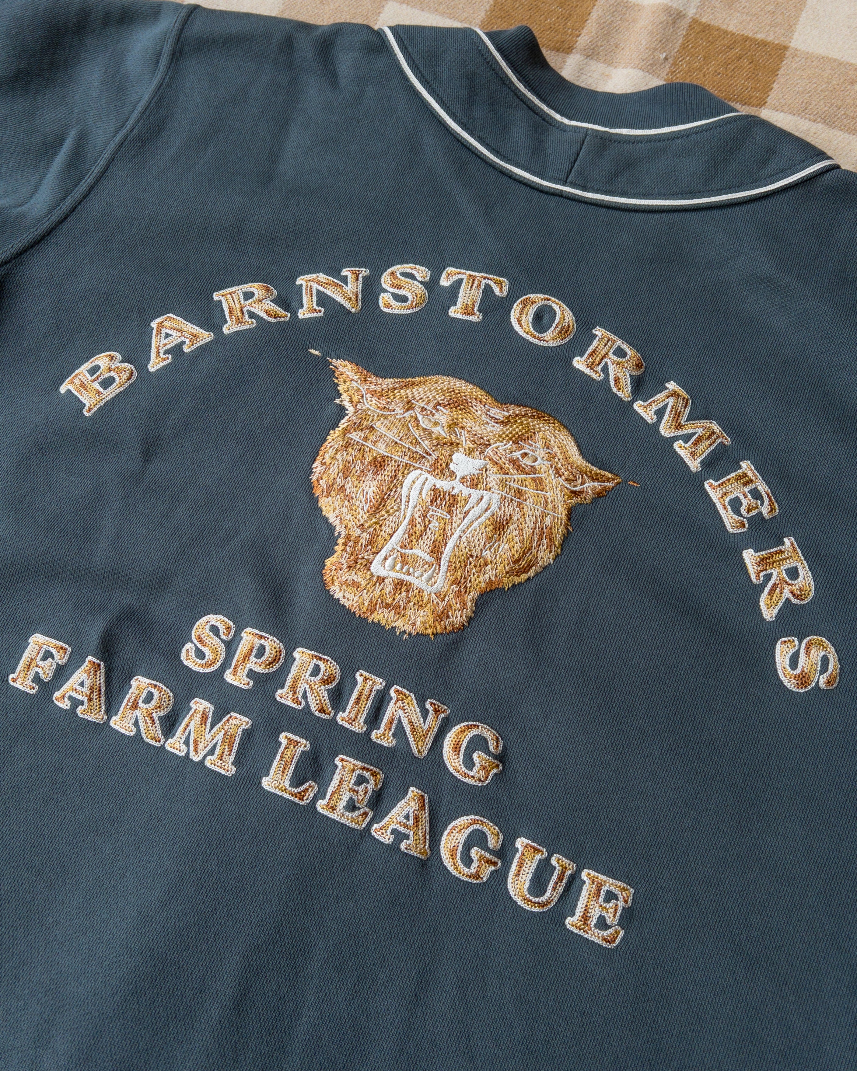 Barnstormers Baseball Jersey - Away - Image 6