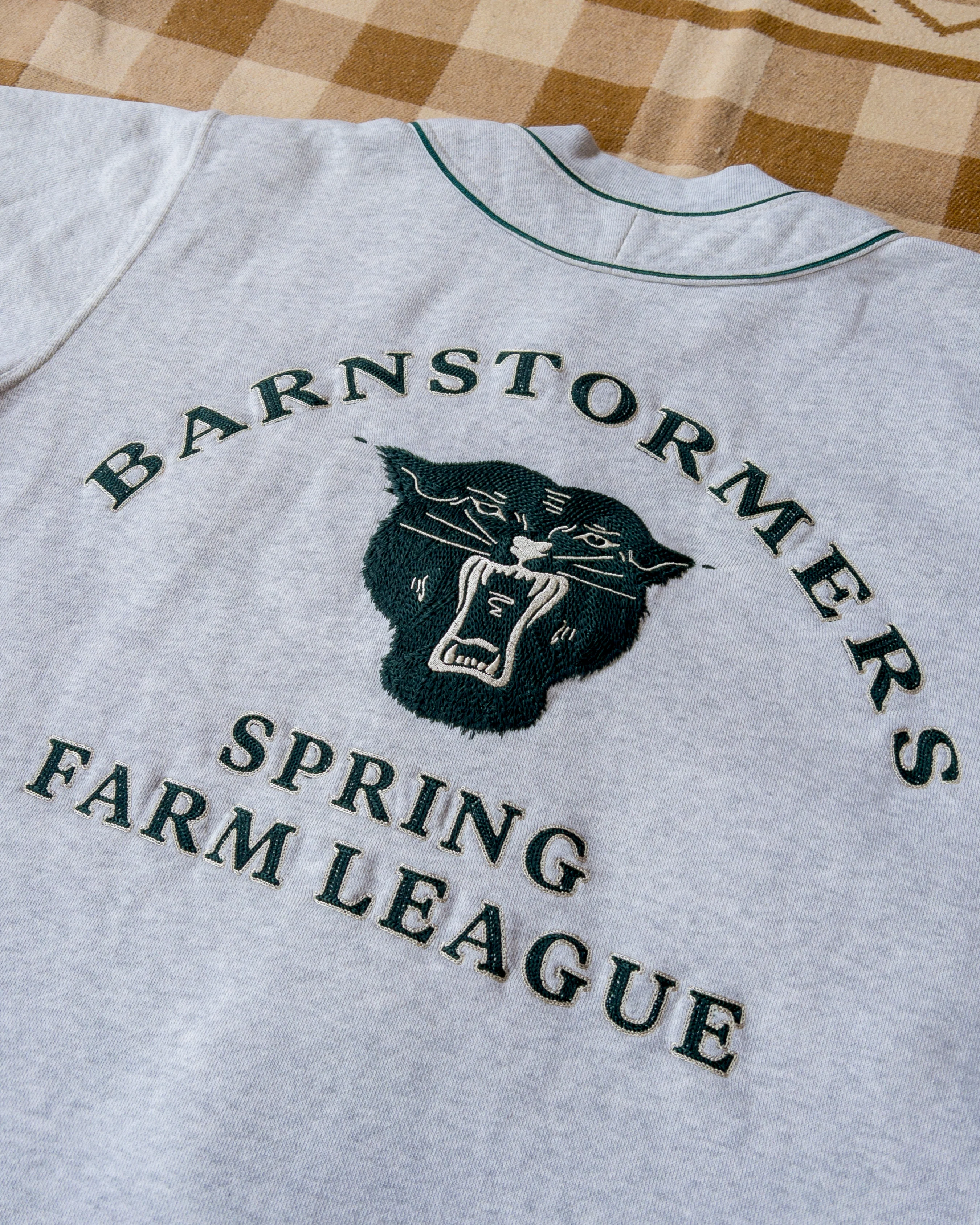 Barnstormers Baseball Jersey - Home - Image 6